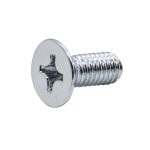 Stainless Steel Screw for Hinge Cover Plate – Chrome Finish