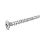 Stainless Steel Screw for Wall Mount Back Plate – Br Nickel Finish
