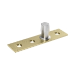 Top Pivot for Patch Fitting- Gold Brushed